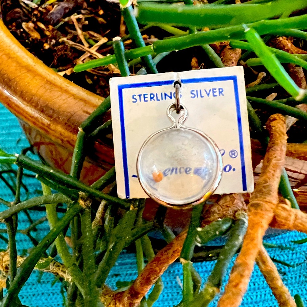Vintage Mustard Seed Charm